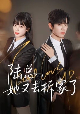 《陆总，她又去拆家了》-VIP部落