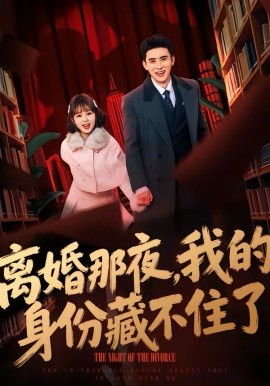 《离婚那夜，我的身份藏不住了》-VIP部落