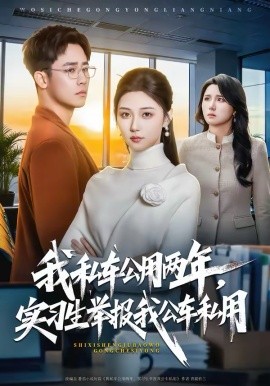 《我私车公用两年，实习生举报我公车私用》-VIP部落