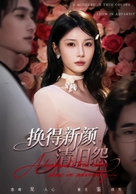 《换得新颜清旧怨》-VIP部落