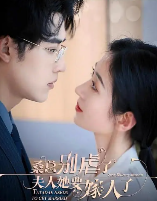 《桑总别虐了，夫人她要嫁人了》-VIP部落