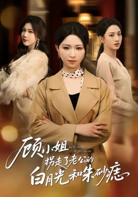《顾小姐拐走了老公的白月光和朱砂痣》-VIP部落