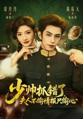 《少帅抓错了，夫人不偷情报只偷心》-VIP部落