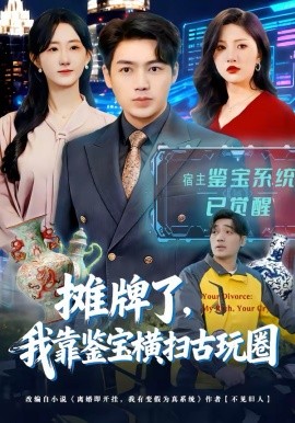 《摊牌了，我靠鉴宝横扫古玩圈》-VIP部落
