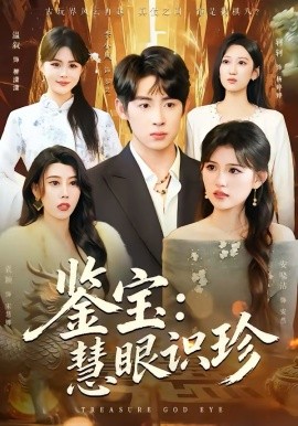 《鉴宝：慧眼识珍》-VIP部落