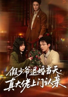 《假少爷退婚当天，真大佬上门认亲》-VIP部落