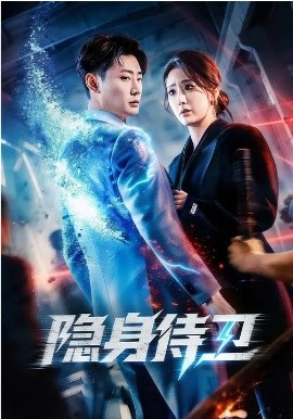《隐身侍卫》-VIP部落