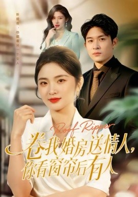 《卷我婚房送情人，你看窗帘后有人》-VIP部落