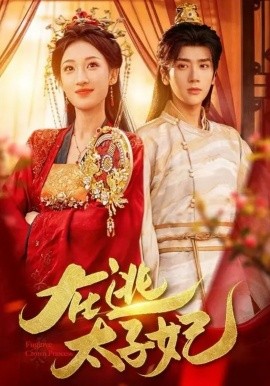 《在逃太子妃》-VIP部落