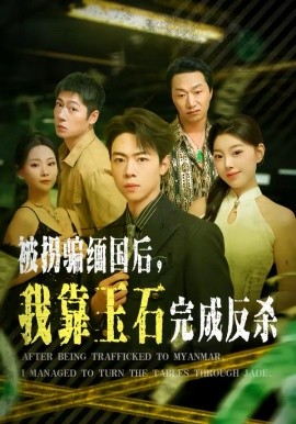 《被拐骗缅国后，我靠玉石完成反杀》-VIP部落
