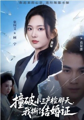 《撞破小三产检那天，我撕了结婚证》-VIP部落