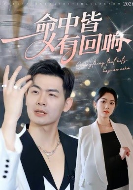 《命中皆有回响》-VIP部落