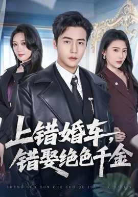 《上错婚车，错娶绝色千金》-VIP部落
