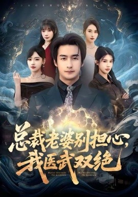 《总裁老婆别担心，我医武双绝》-VIP部落