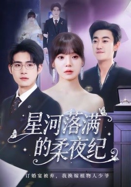 《星河落满的柔夜纪》-VIP部落