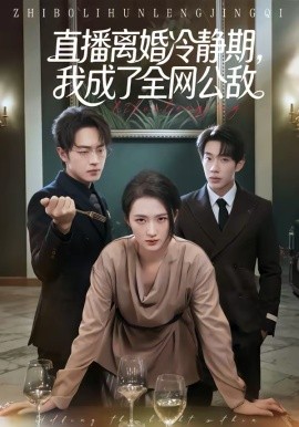 《直播离婚冷静期，我成了全网公敌》-VIP部落