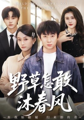 《野草怎敢沐春风》-VIP部落