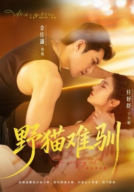 《野猫难驯》-VIP部落