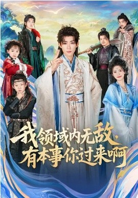 《我领域内无敌，有本事你过来啊》-VIP部落