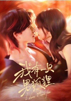 《我有一只男狐狸》-VIP部落