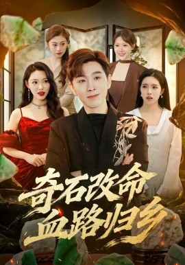 《奇石改命血路归乡》-VIP部落