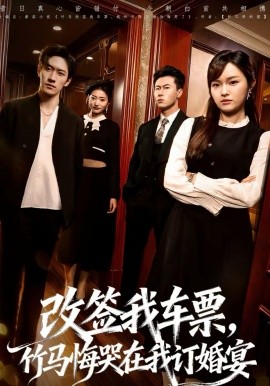 《改签我车票，竹马悔哭在我订婚宴》-VIP部落