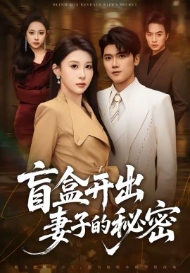 《盲盒开出妻子的秘密》-VIP部落