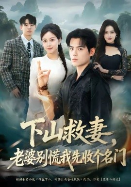《下山救妻，老婆别慌我先收个名门》-VIP部落