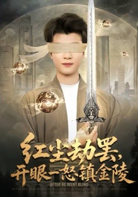 《红尘劫罢，开眼一怒镇金陵》-VIP部落