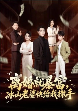 《离婚就暴富，冰山老婆快给我撒手》-VIP部落