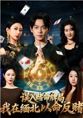 《误入赌命牌局，我在缅北以命反赌》-VIP部落