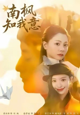 《南枫知我意》-VIP部落