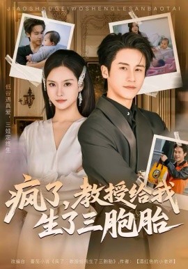 《疯了，教授给我生了三胞胎》-VIP部落