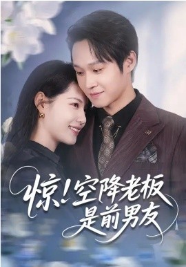 《惊！空降老板是前男友》-VIP部落