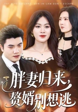 《胖妻归来，赘婿别想逃》-VIP部落
