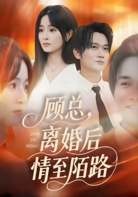 《顾总，离婚后情至陌路》-VIP部落