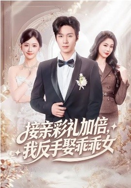 《接亲彩礼加倍，我反手娶乖乖女》-VIP部落