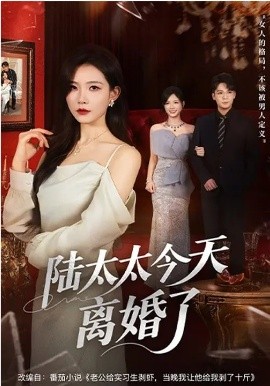 《陆太太今天离婚了》-VIP部落
