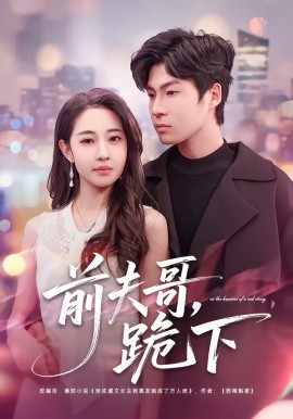 《前夫哥，跪下》-VIP部落