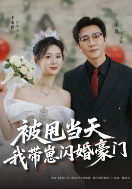 《被甩当天我带崽闪婚豪门》-VIP部落