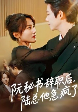 《阮秘书辞职后，陆总他急疯了》-VIP部落