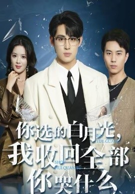 《你选的白月光，我收回全部你哭什么》-VIP部落