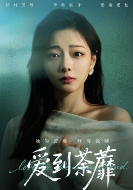 《爱到荼蘼》-VIP部落