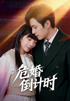 《危婚倒计时》-VIP部落