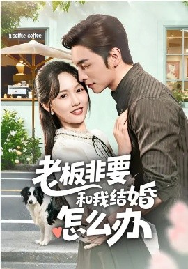 《老板非要和我结婚怎么办》-VIP部落