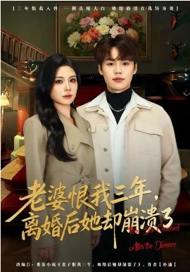 《老婆恨我三年，离婚后她却崩溃了》-VIP部落