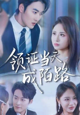 《领证当天成陌路》-VIP部落