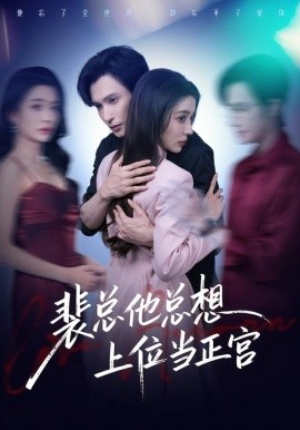 《裴总他总上位当正宫》-VIP部落