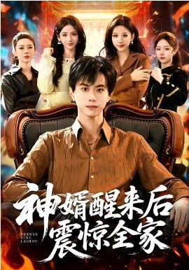 《神婿醒来后震惊全家》-VIP部落