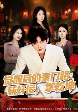 《觉醒后的豪门路：斩奸佞掌乾坤》-VIP部落